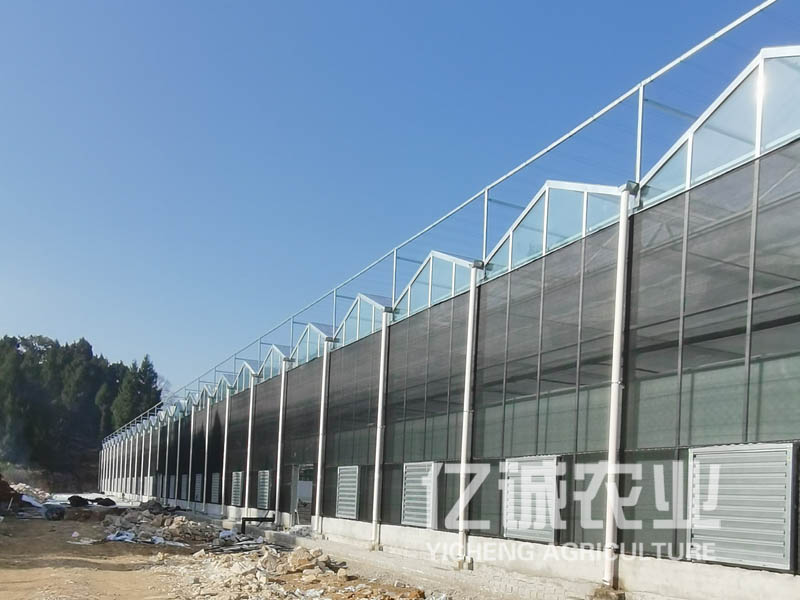 雙層薄膜連棟溫室大棚造價高不高？有哪些建造方式？